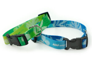 Close-up of a green and blue custom personalized dog collars with buckle.